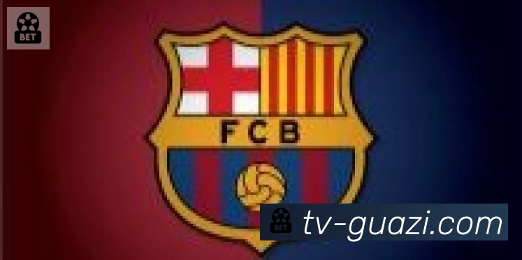 瓜子直播合作伙伴